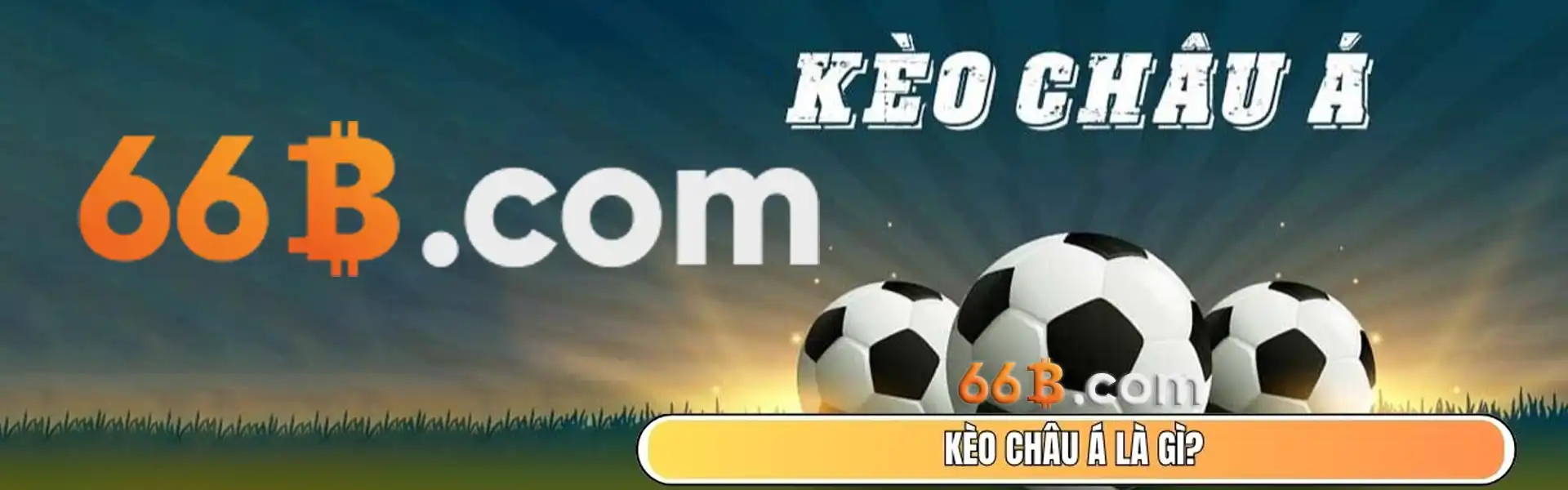 imgi 1 1921908385190420482