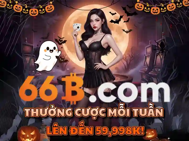 Giới thiệu về 66B Giới thiệu về 66B