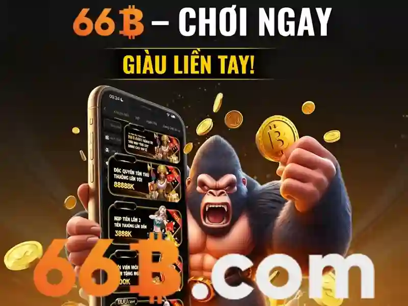 Giới thiệu về 66B