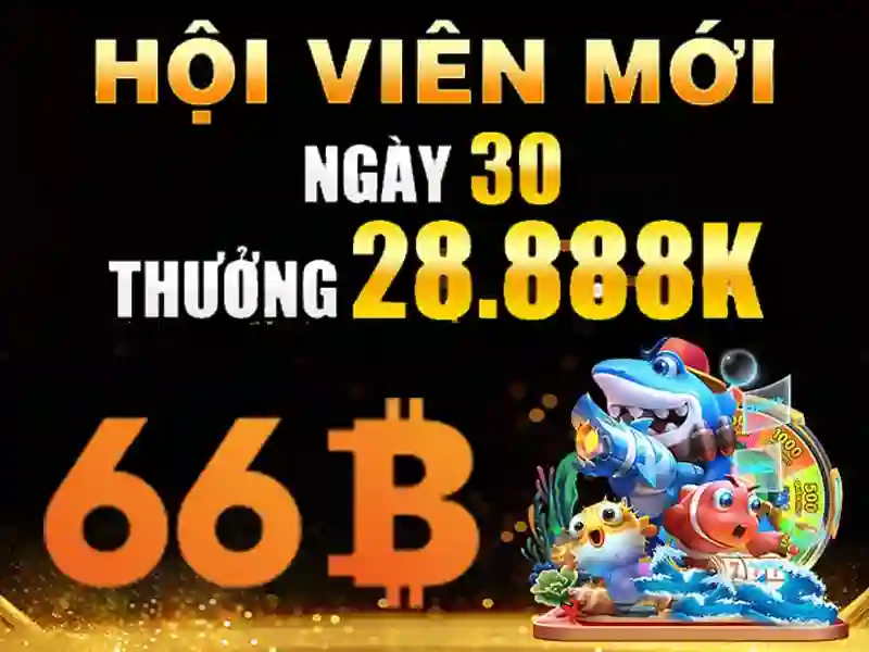 Nguồn gốc và sứ mệnh của hoogoorddreef 66b amsterdam Nguồn gốc và sứ mệnh của hoogoorddreef 66b amsterdam