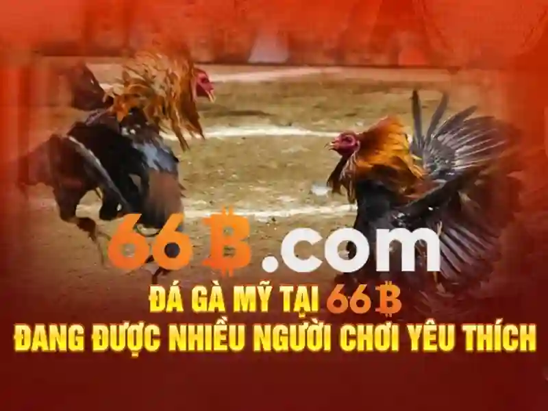 66b nguyen sy sach – Tổng quan chủ đề và giá trị cốt lõi 66b nguyen sy sach – Tổng quan chủ đề và giá trị cốt lõi