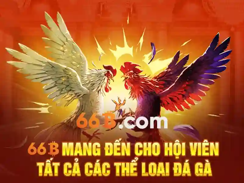 số 22 ngõ 66b triều khúc – Trải nghiệm và khuyến mãi 66b Go88