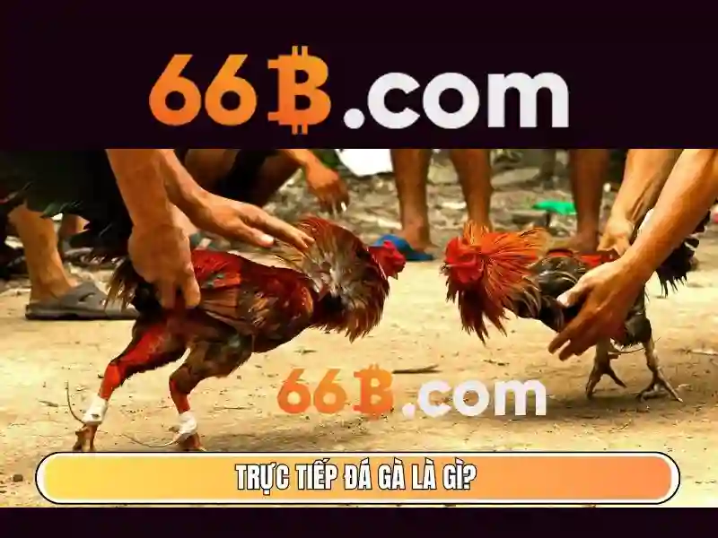 66b: Khía cạnh, nguồn gốc và ứng dụng Go88