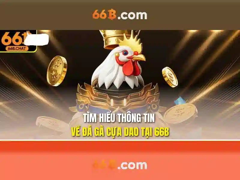rút tiền 66b – Tổng quan, ứng dụng và trải nghiệm người dùng Go88