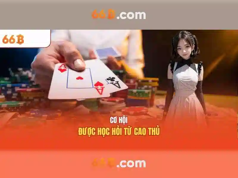 Cấu trúc của 66B Cấu trúc của 66B
