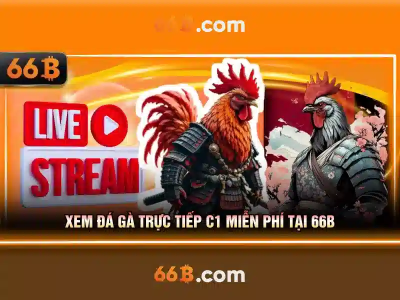 66B là gì và tại sao nó quan trọng 1 Đăng Nhập