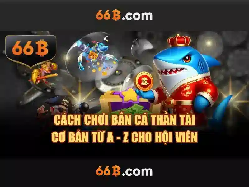 Cấu trúc và kích thước 66B Cấu trúc và kích thước 66B