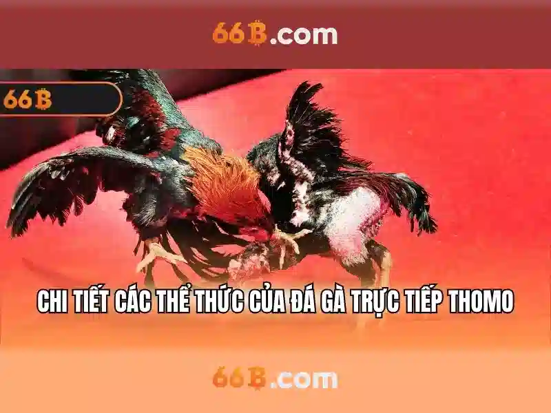 Đăng Nhập