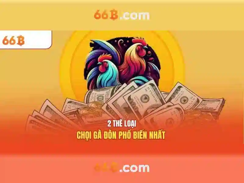 Lời kết và triển khai tương lai