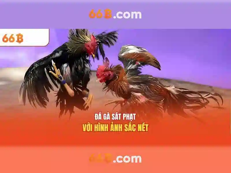 sony ecm-66b - thẻ chuyên biệt về âm thanh trong soi kèo và tỷ lệ bóng đá 1 Đăng Nhập