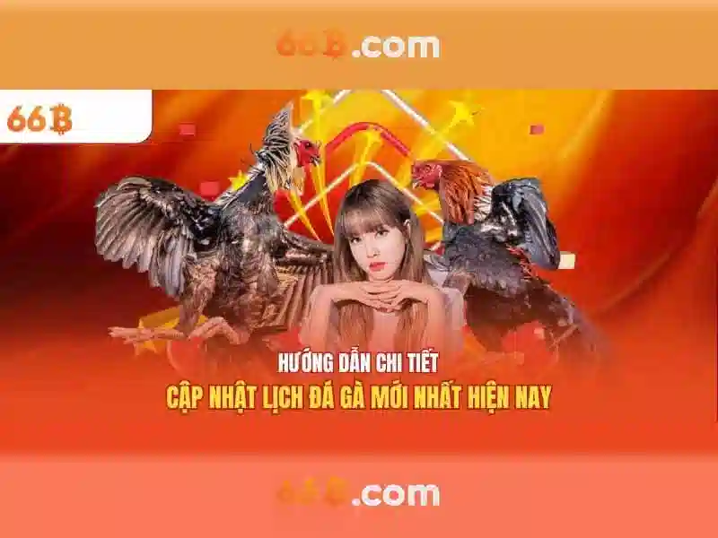 Khả năng và hạn chế Khả năng và hạn chế