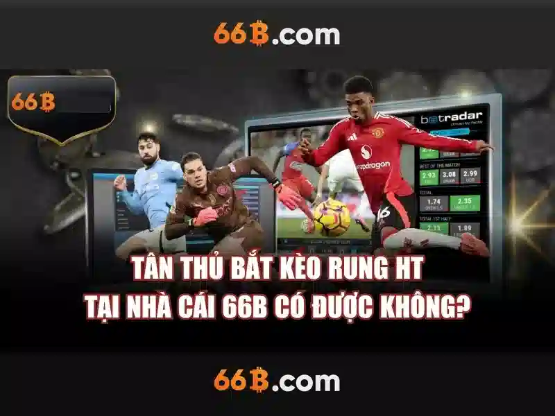 Kiến trúc và tham số của 66B