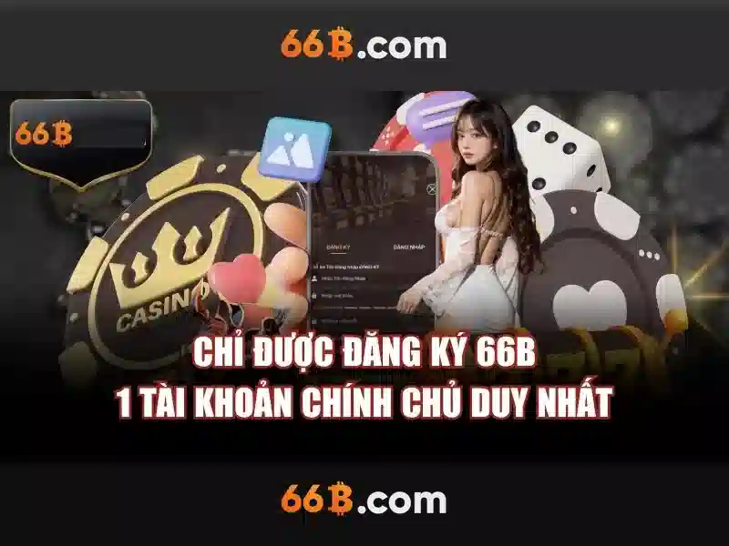 Đặc điểm của 66B Đặc điểm của 66B