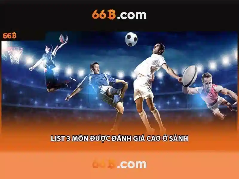 66b là gì? 66b là gì?