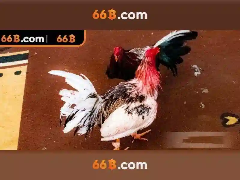 66B là gì và những tiềm năng của nó Go88