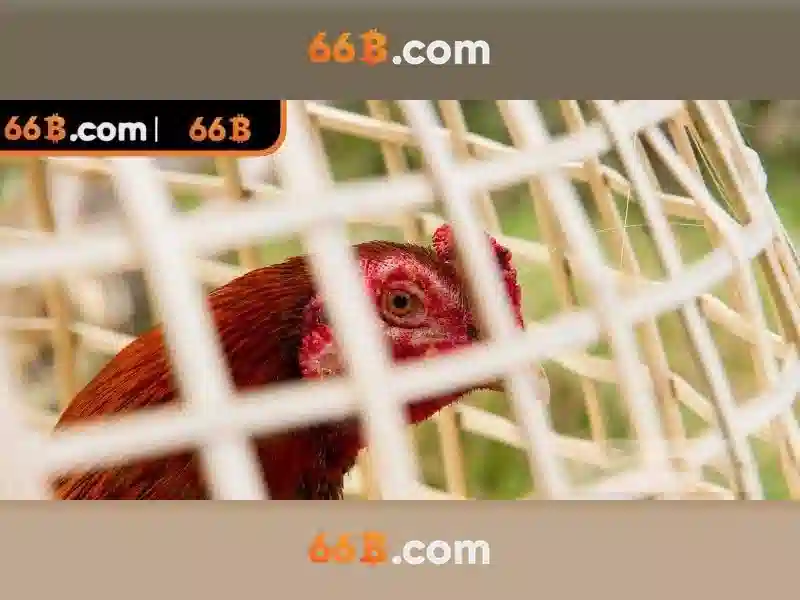 Mô hình 66B: Tầm nhìn và ứng dụng Go88