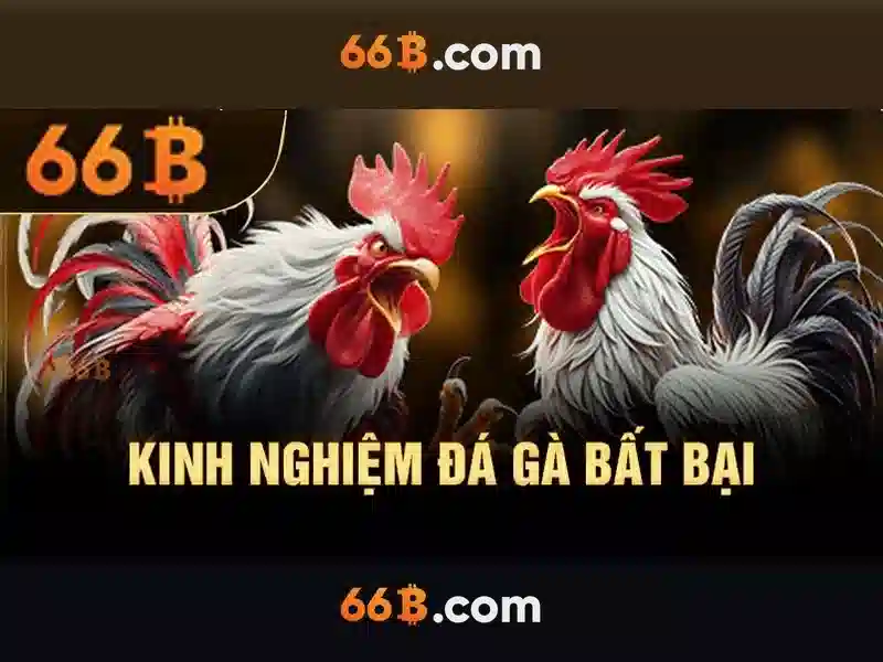 66B: Khám phá một mô hình ngôn ngữ tiên tiến với 66 tỷ tham số 1 Đăng Nhập