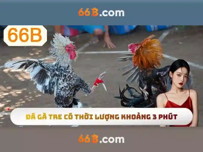Ứng dụng thực tế của 66B Ứng dụng thực tế của 66B