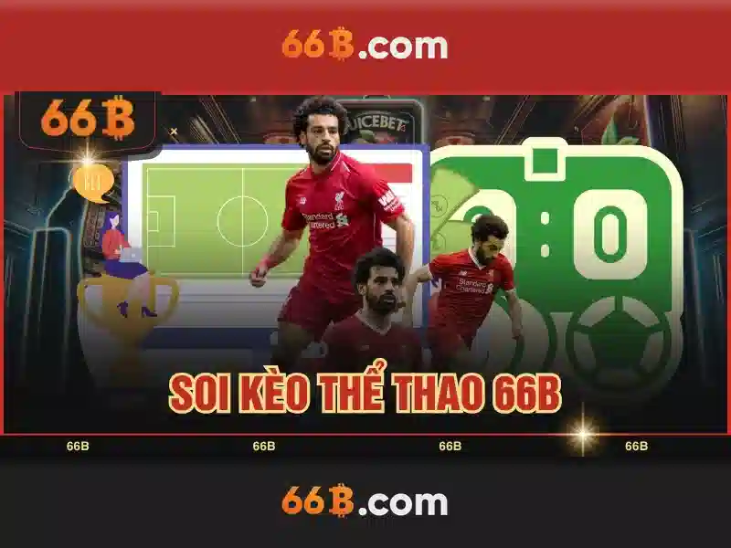 Kha nang chinh cua 66b Kha nang chinh cua 66b