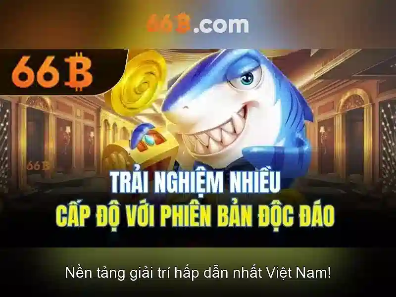 66B là gì?