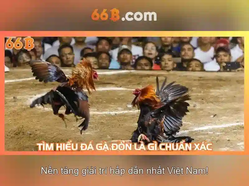 66B là gì và tại sao nó được quan tâm 66B là gì và tại sao nó được quan tâm