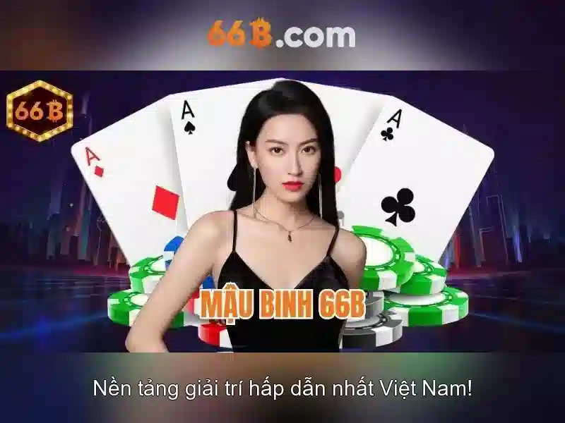 Khám phá kích thước 66B