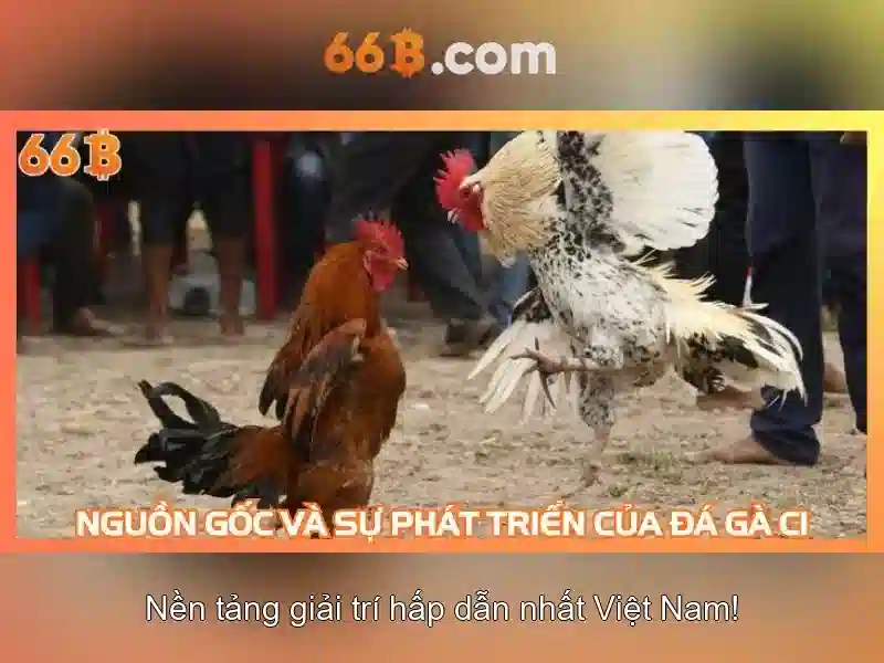 Lựa chọn áo ngực phù hợp với 66B