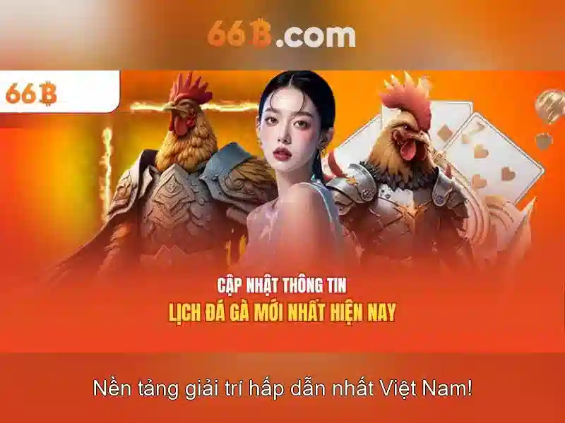 hỗ trợ 66b – chủ đề tổng quan và giá trị cốt lõi