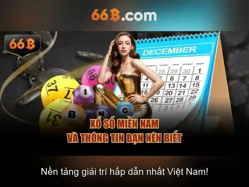 66B là gì?