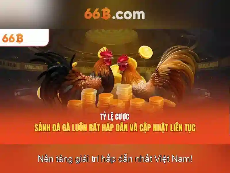 66b là gì? 66b là gì?