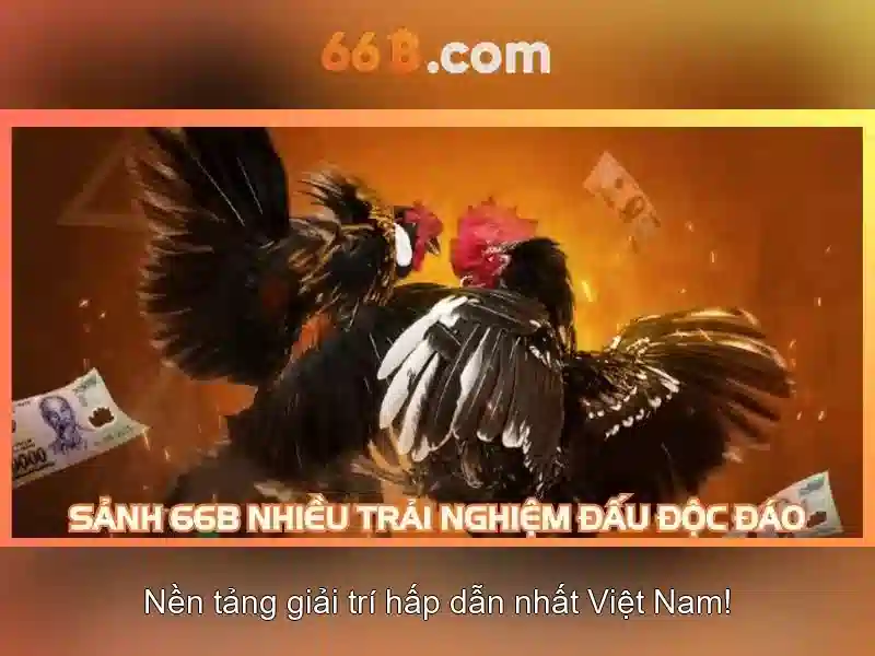 Khái niệm 66b Khái niệm 66b