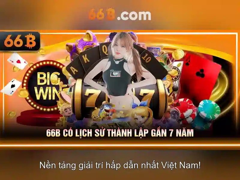 Lý do 66B được chú ý