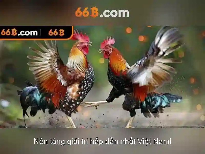 Ứng dụng thực tế