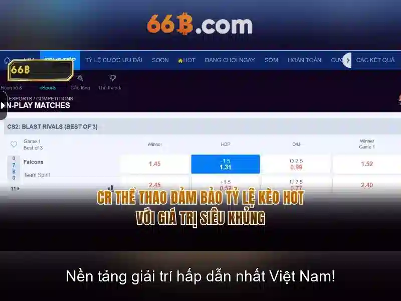 Kiến trúc và căn bản của 66B Kiến trúc và căn bản của 66B