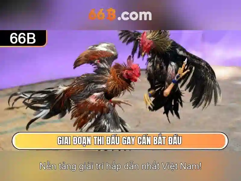 Hiệu suất và giới hạn Hiệu suất và giới hạn