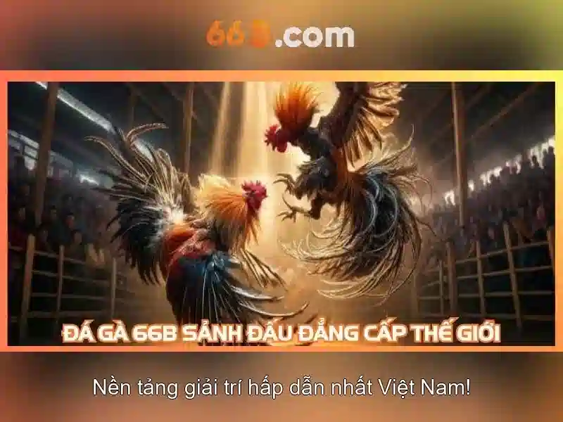 66b là gì? - một khái niệm mở 1 Đăng Nhập