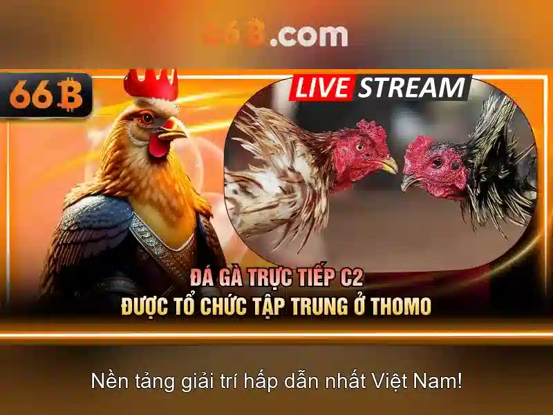 Khám phá 66b: một mô hình ngôn ngữ lớn cho tự động tạo nội dung 1 Đăng Nhập