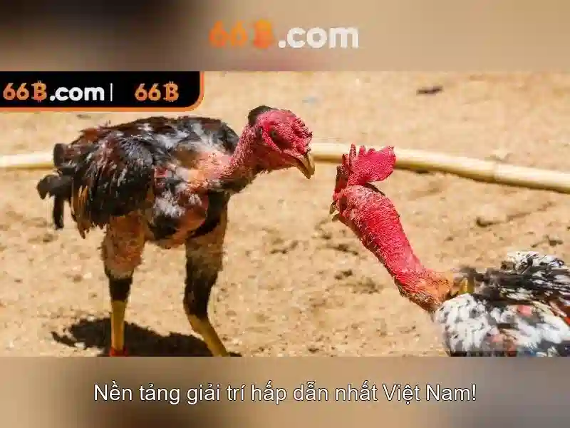 66b có nhiều nghĩa tùy theo ngữ cảnh và lĩnh vực\n<h>Ví dụ thực tế và cách diễn giải</h>\n<p>Ví dụ minh họa: một hệ thống phân tích dữ liệu ghi nhận 66b như một tham số trung gian, cho phép hiệu chỉnh cân đối giữa độ chính xác và hiệu suất. Kỹ thuật liên quan gồm chuẩn hóa dữ liệu, đánh giá hiệu suất và tối ưu hóa tham số.</p>