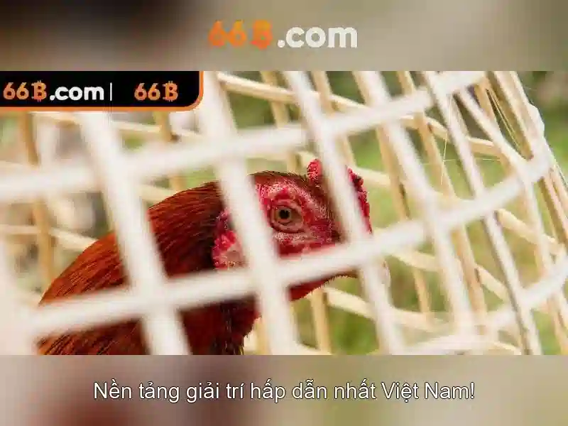 Kiến trúc và quy mô của 66b
