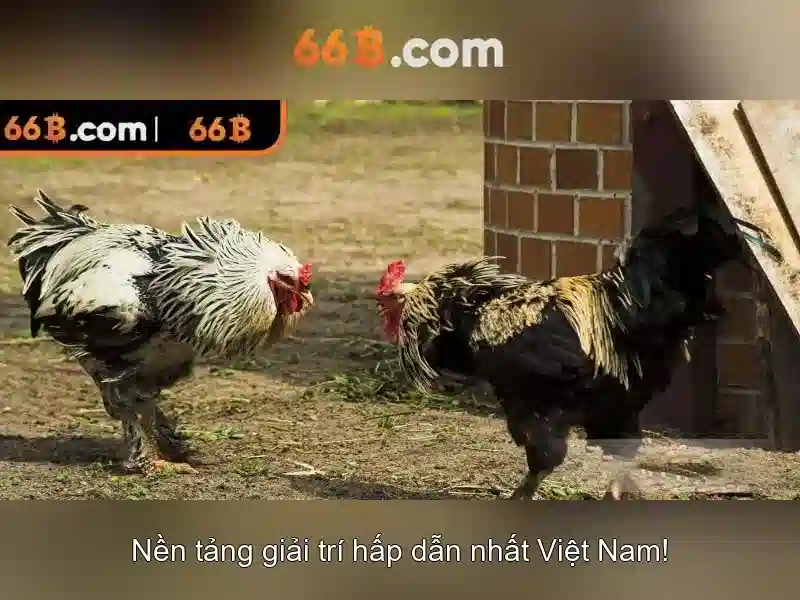 66b: Khai phá tham số lớn và tương lai trí tuệ nhân tạo 1 Đăng Nhập