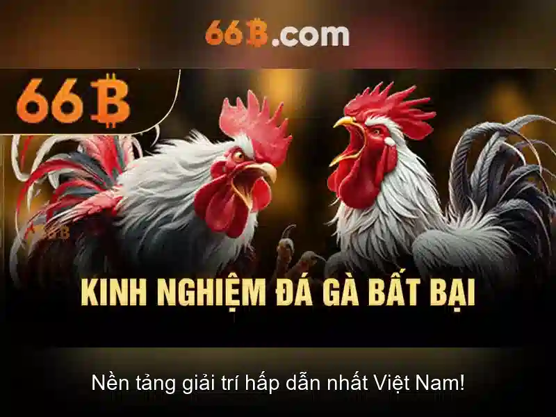 Kham pha 66B: nghia, nguon goc va ung dung Go88