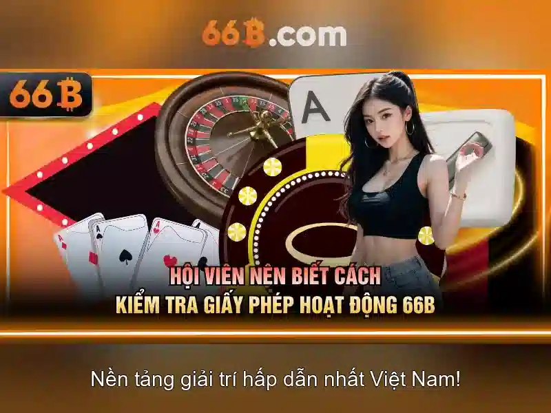 Kiến trúc và khả năng của 66B Kiến trúc và khả năng của 66B