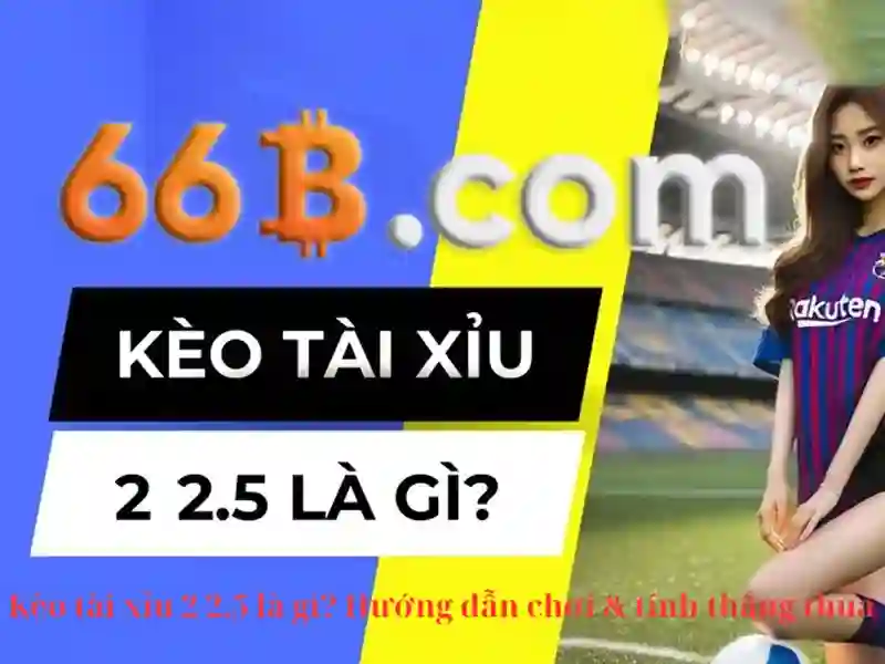 Kết luận và hành động Kết luận và hành động
