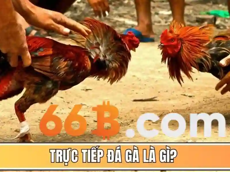 Đăng Nhập