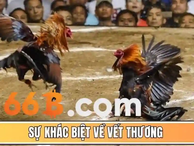 66b win – Đột phá công nghệ và trải nghiệm người dùng 1 Đăng Nhập