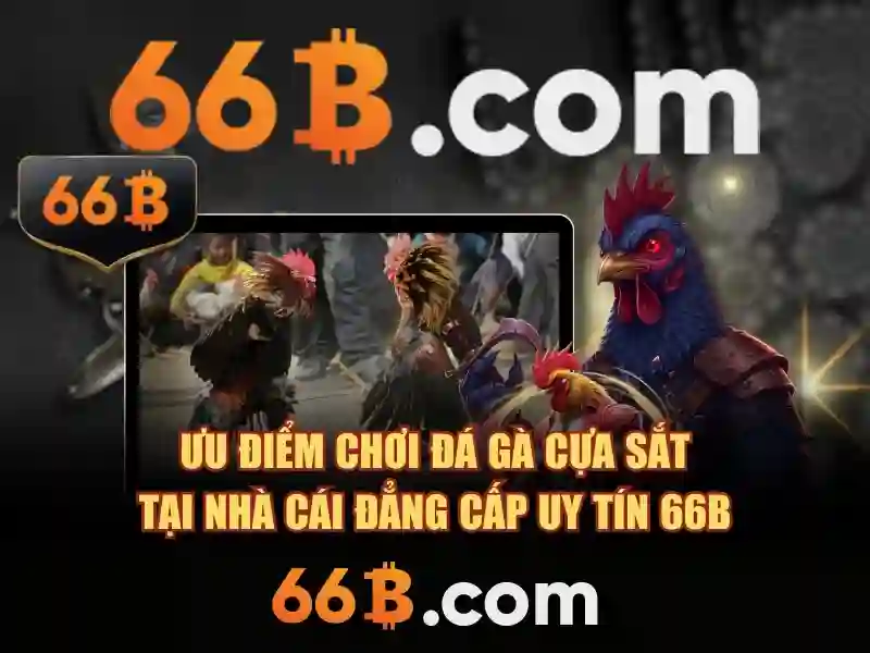 Cấu hình và kích thước