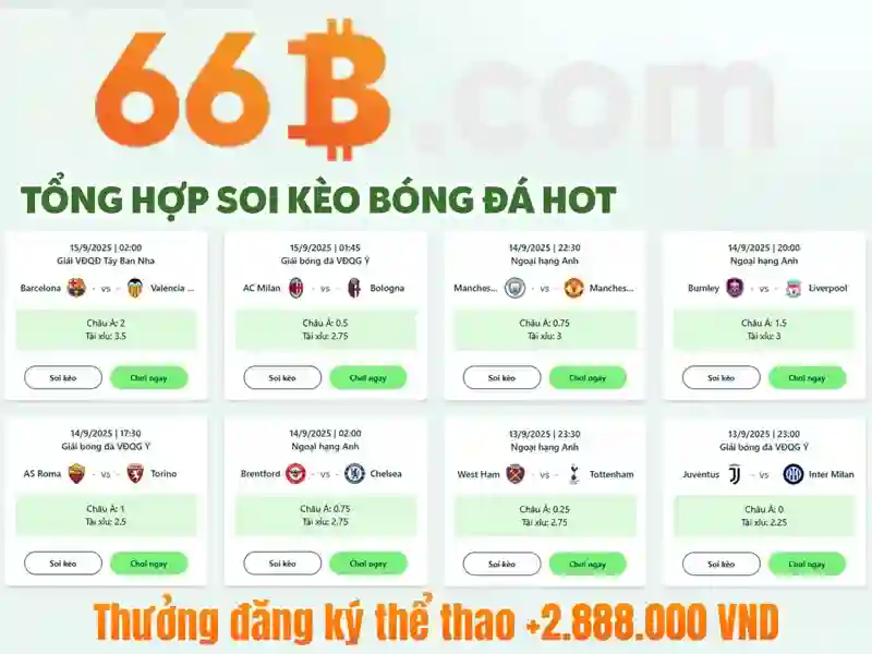 Y niem chinh va cau truc co ban Y niem chinh va cau truc co ban